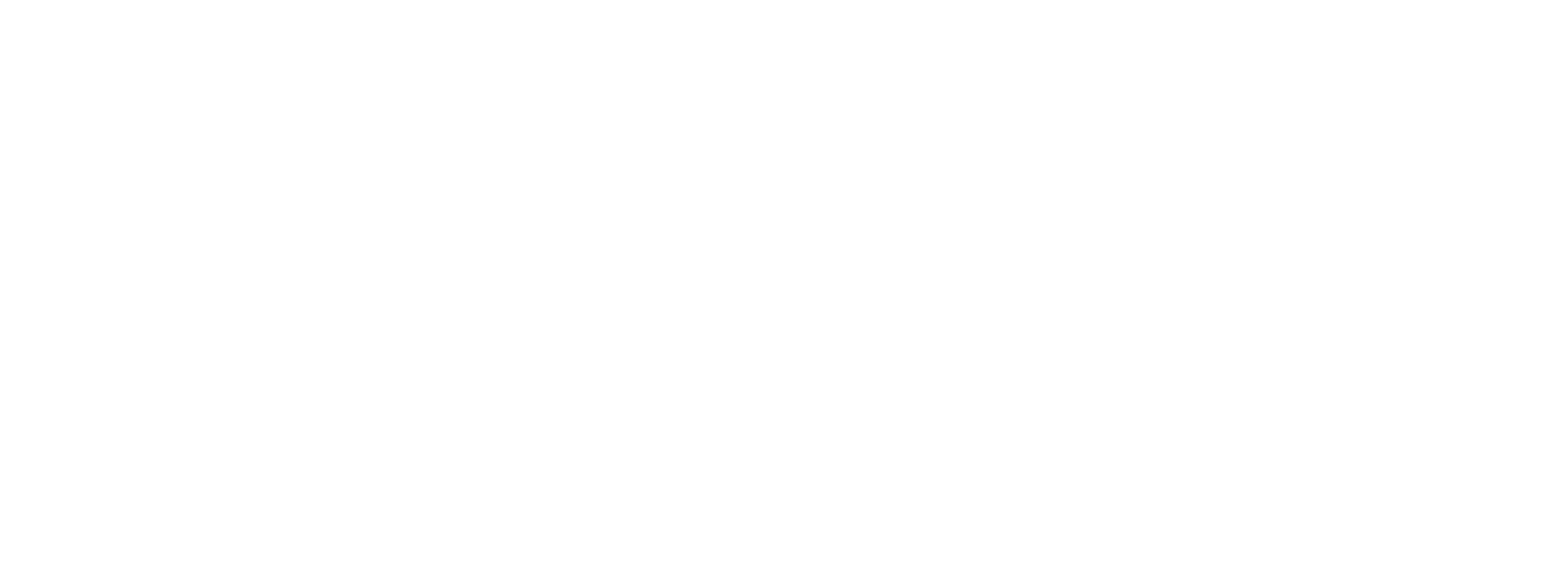 barrieresicher-logo-w